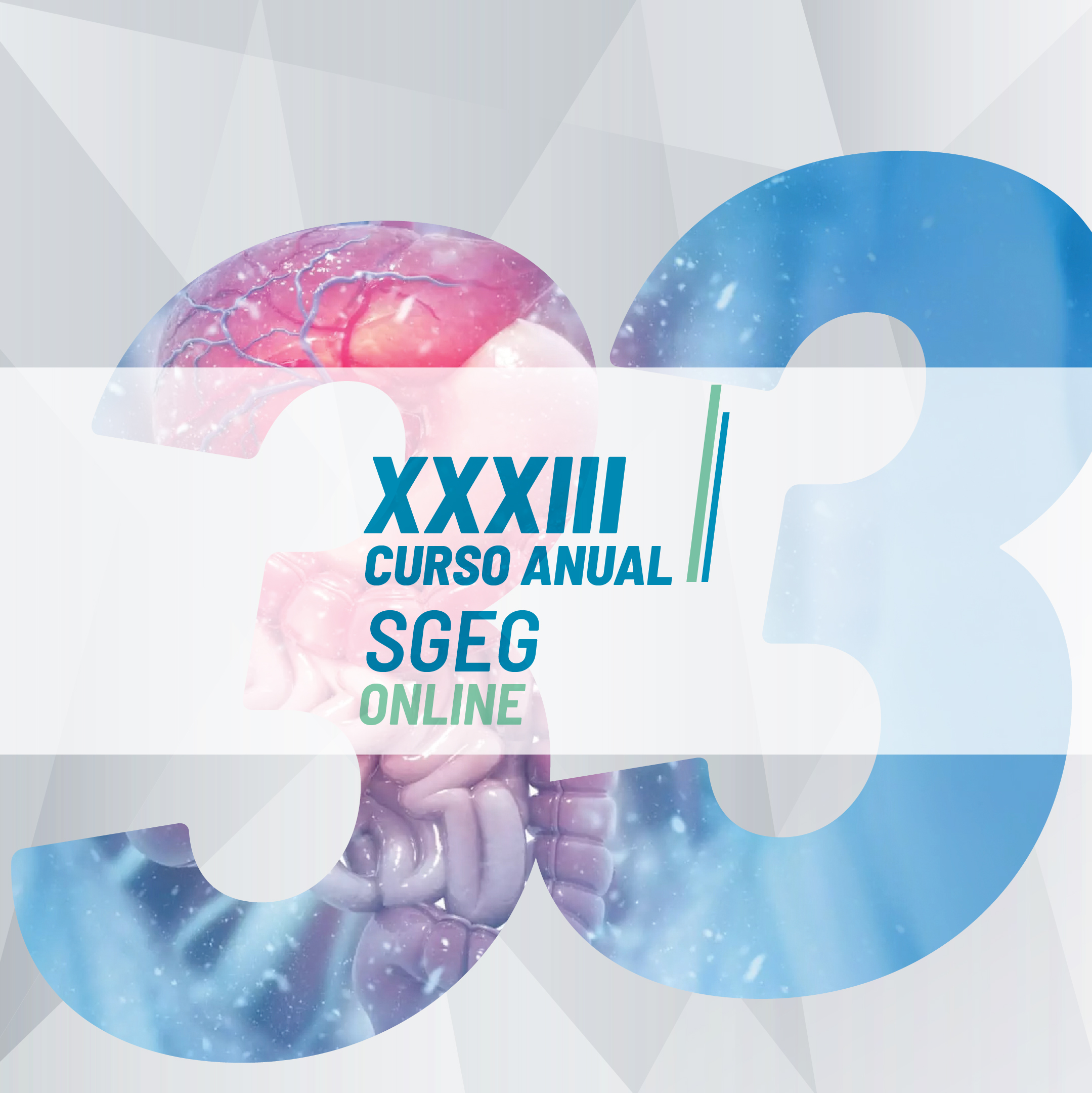 Logo XXXIII Curso Anual SGEG